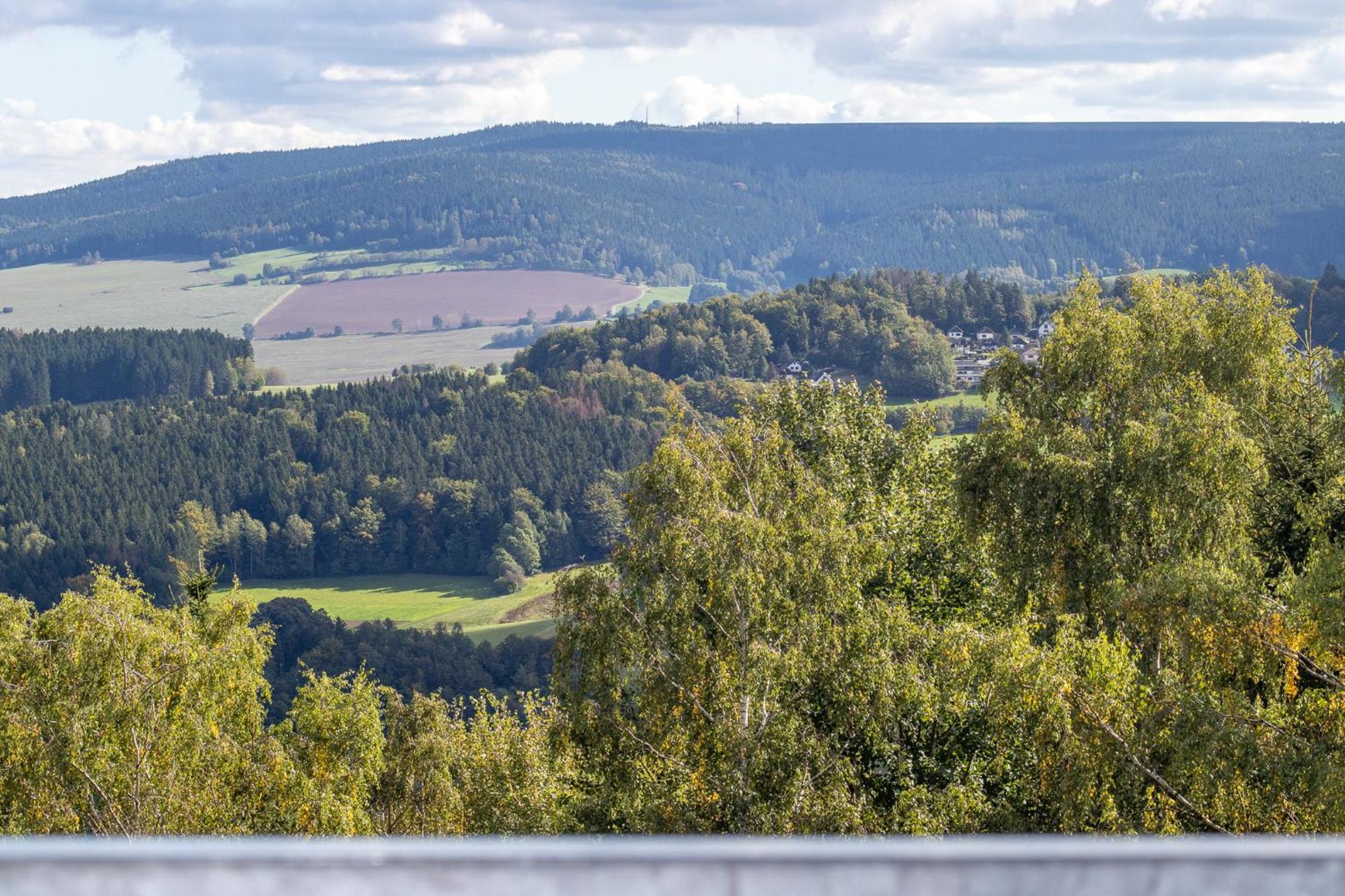 Apartment Bergliebe I Balkon I Aufzug I Stellplatz Schwarzenberg  Eksteriør bilde